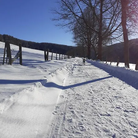 Ferienwohnung Charlie Winterberg Winterberg